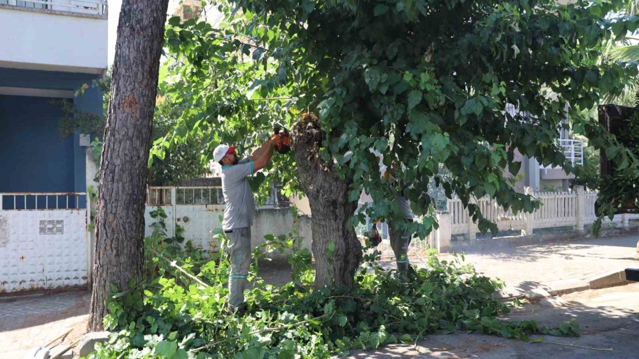 Nazilli’de yeşil alanlarda sonbahar hazırlığı