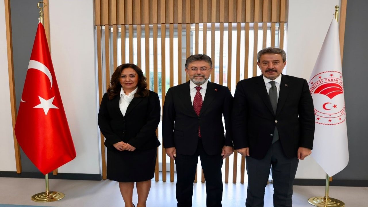 Şırnak’ta üretimden altyapıya yeni yatırım atağı
