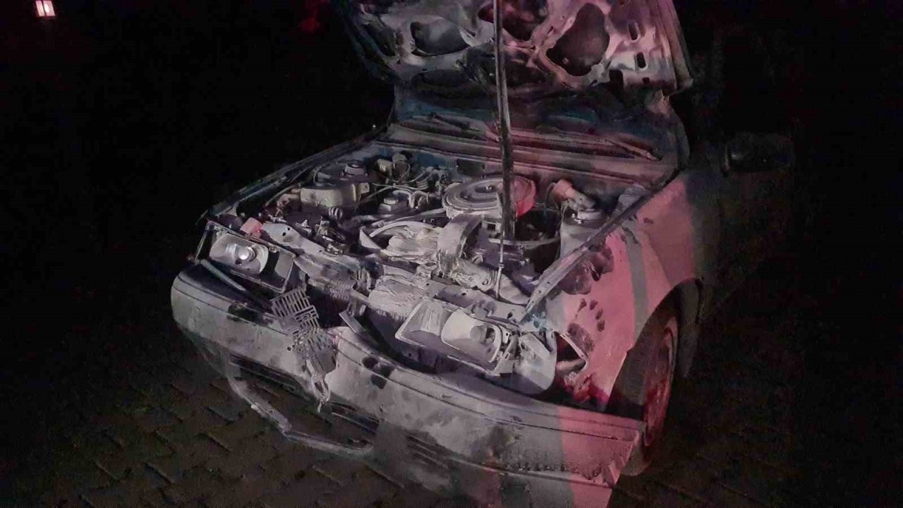 Otomobil karayoluna çıkan 3 mandaya çarptı: 1’i ağır, 2 yaralı