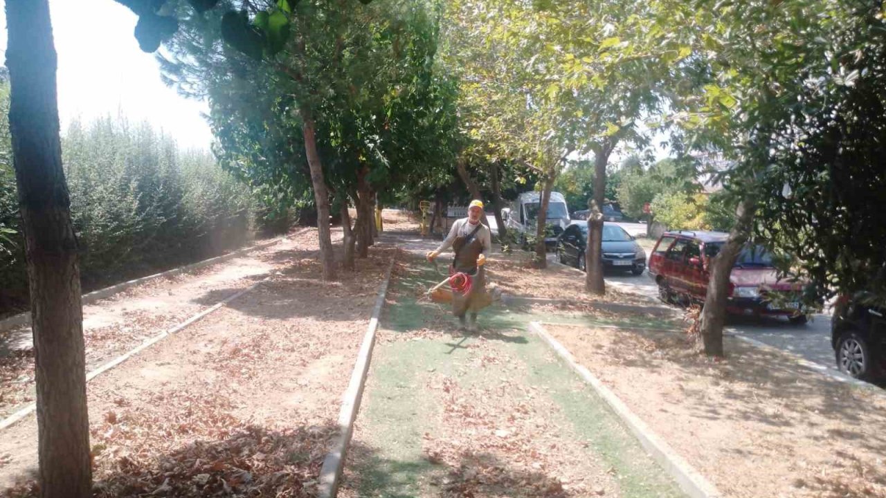 Köşk’te park ve yeşil alanlarda bakım çalışmaları sürüyor
