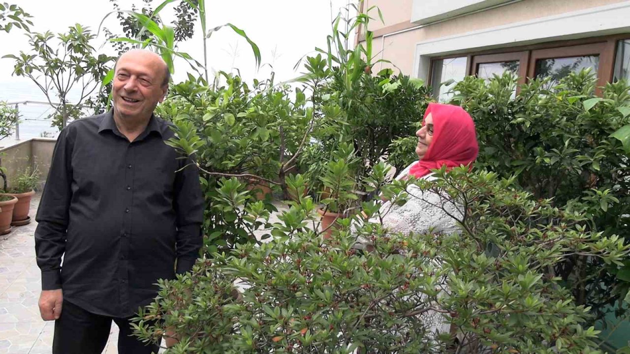 102 saksıyla köy hayatını apartman balkonuna taşıdılar