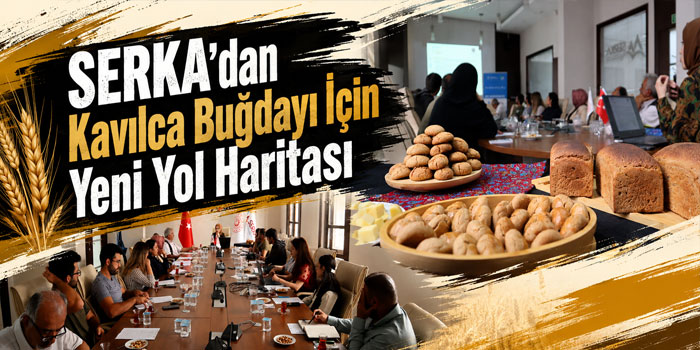 SERKA’dan Kavılca Buğdayı İçin Yeni Yol Haritası