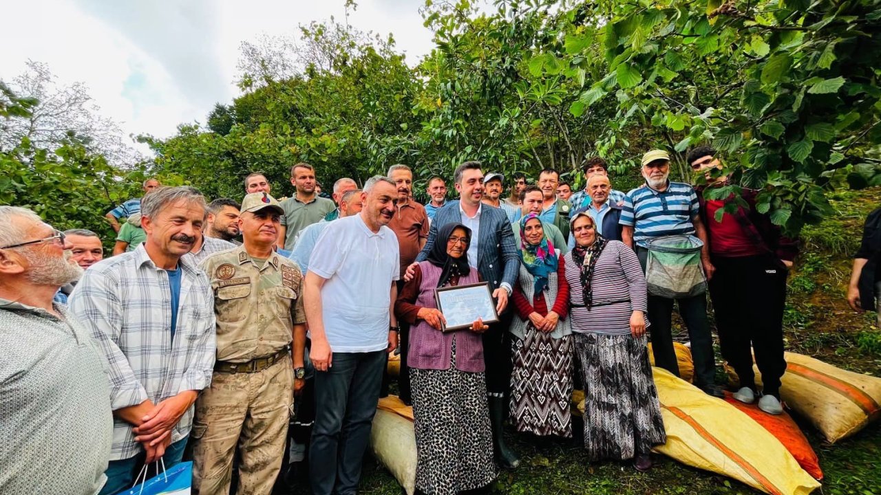 Ordu’da yaklaşık 1 ton fındık cami ihtiyaçları için toplandı