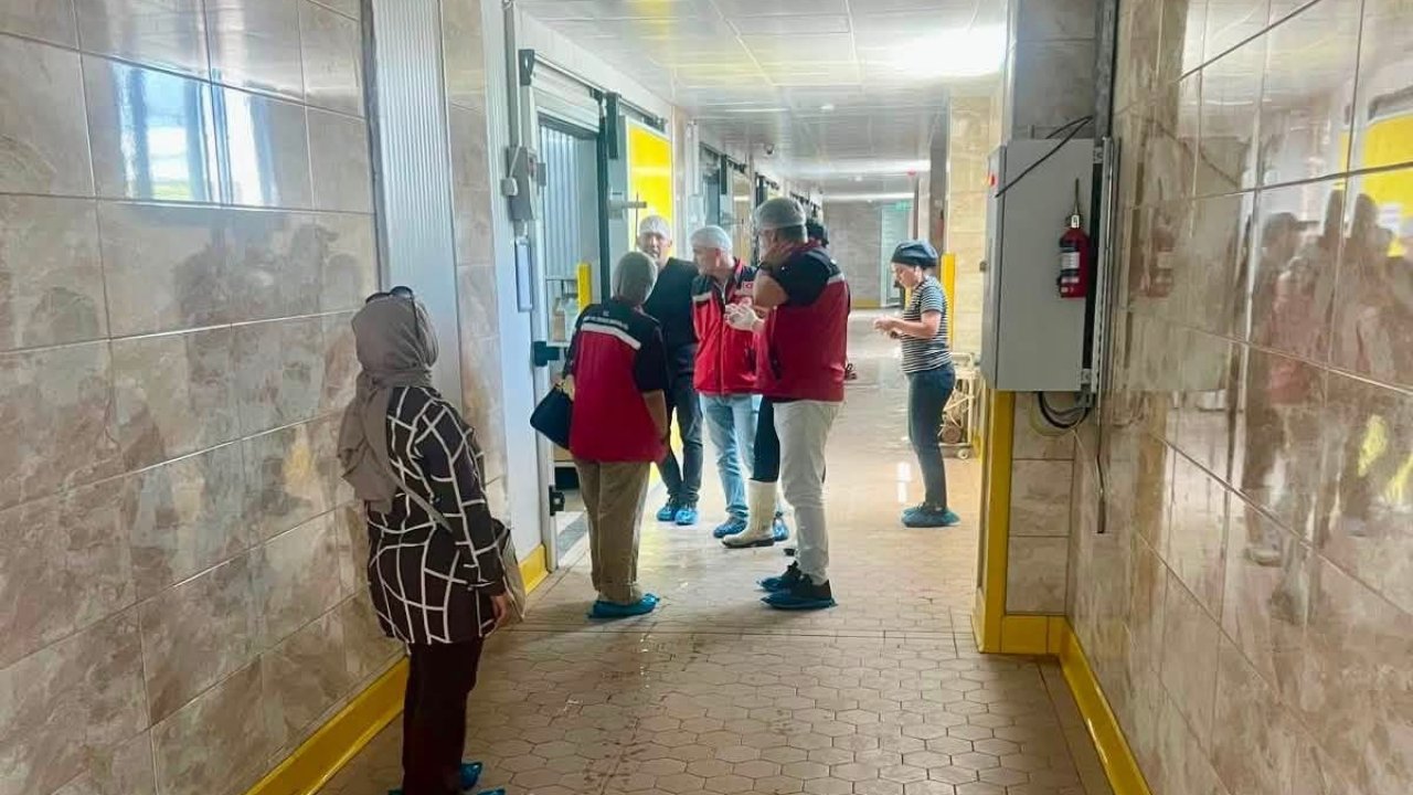 Hatay’da süt işleme tesisinde gıda güvenliği denetimi yapıldı
