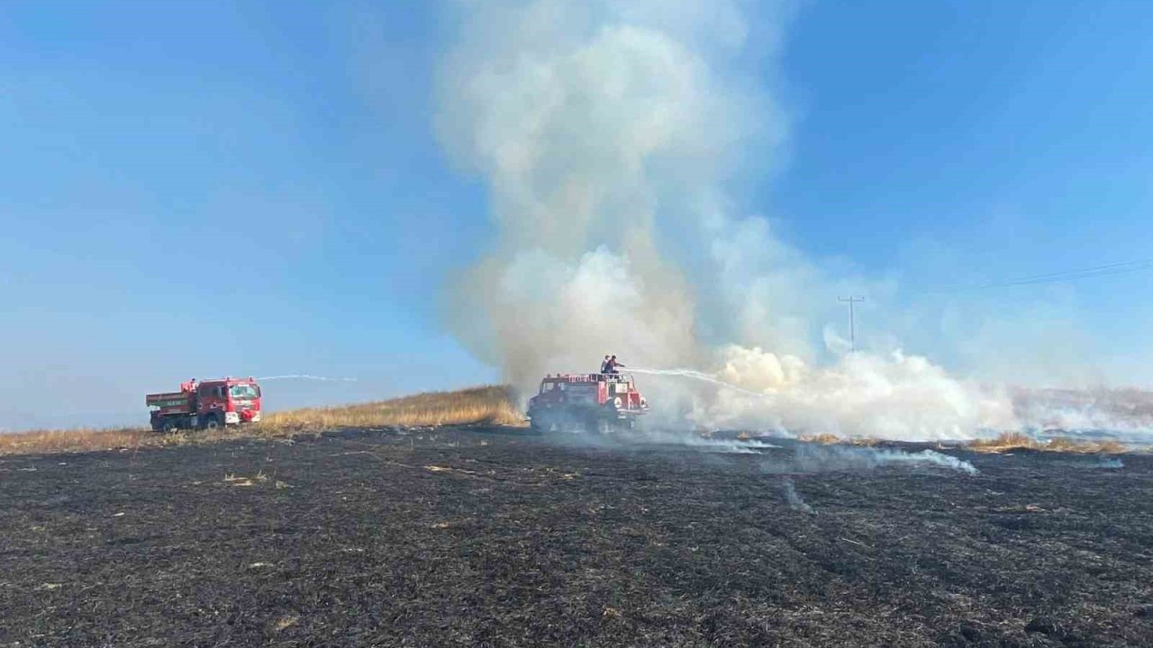 Bolu’da elektrik direğinden çıkan yangında 8 dekar alan zarar gördü