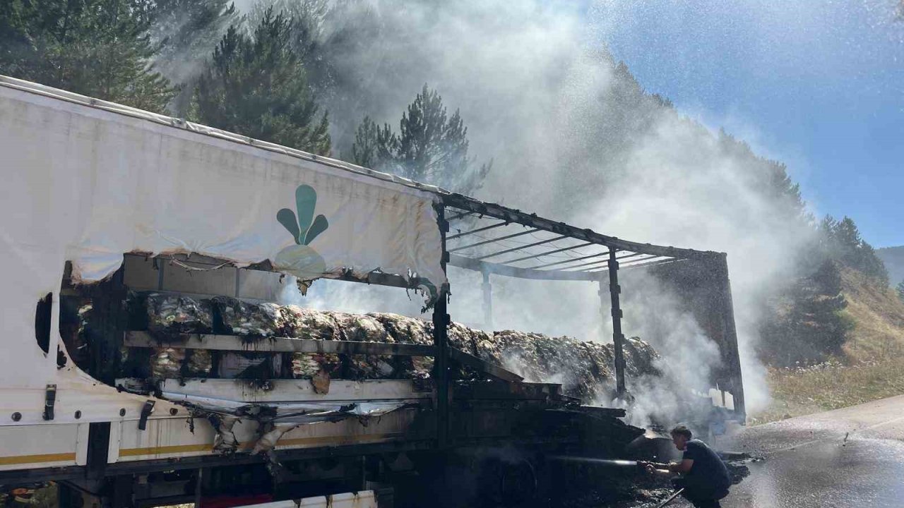 Bolu’da şeker yüklü tır alev aldı, yangın ormana sıçradı