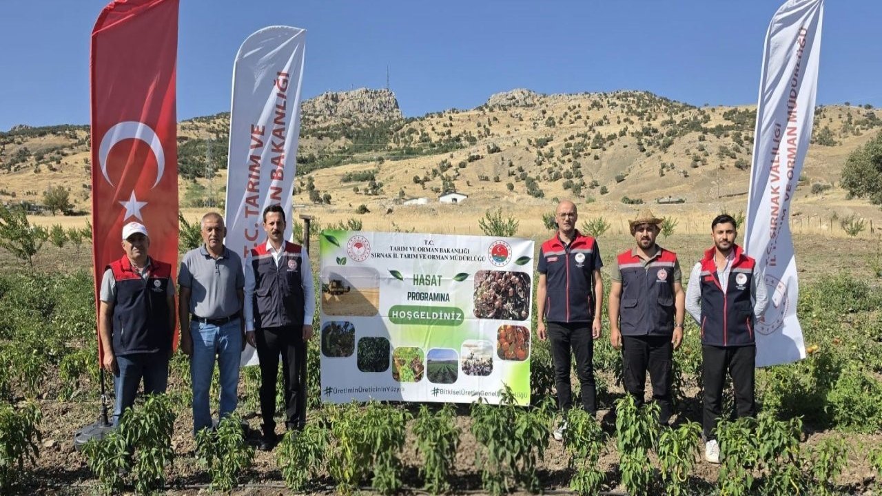 Şırnak’ta TAKE Projesi kapsamında sebze hasadı gerçekleştirildi