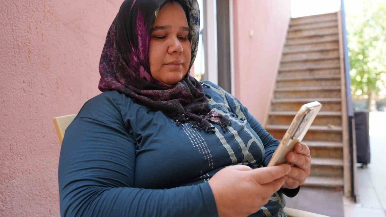 Denizli’de sokak hayvanlarının zehirlenerek öldürüldüğü iddiası