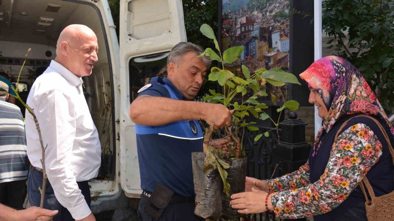 Babadağ Belediyesinden çiftçilere ceviz fidanı desteği