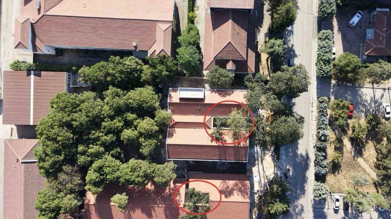 Bursa’da örnek okul projesi: 50 yıllık ağaçlar binanın içinde kaldı