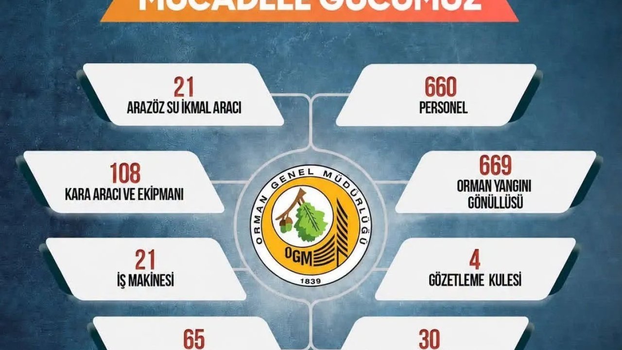 Sinop’ta orman yangınlarına karşı seferberlik