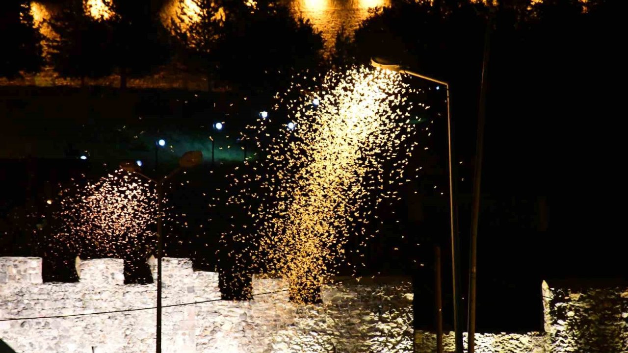 Ardahan’da "bir günlüklerin" ölüm uçuşu görsel şölene dönüştü
