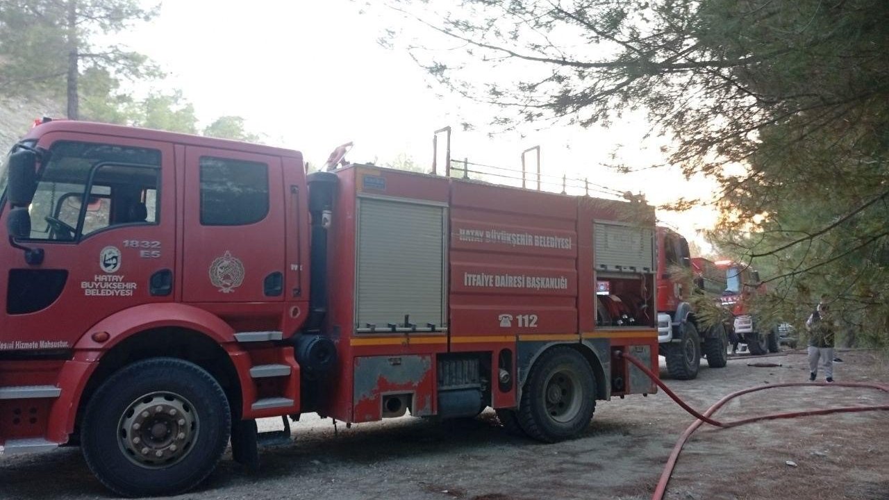 Yayladağı’nda ormanlık alan yangını kontrol altına alındı
