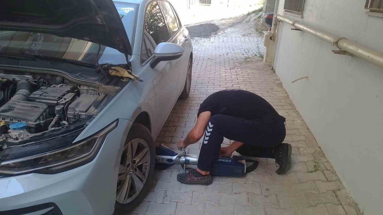 Reyhanlı ve Defne’de mahsur kalan kediler kurtarıldı