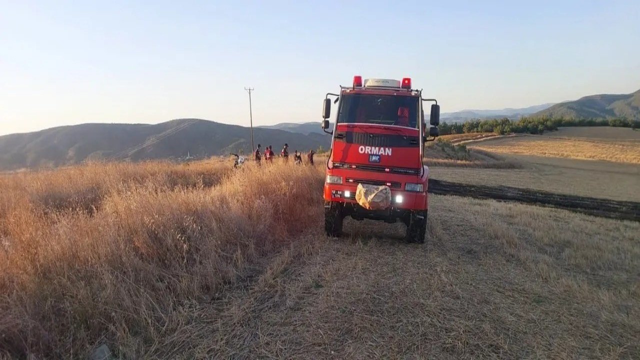Sinop’ta anız yangını korkuttu