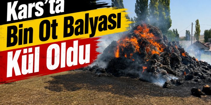 Kars’ta bin ot balyası kül oldu