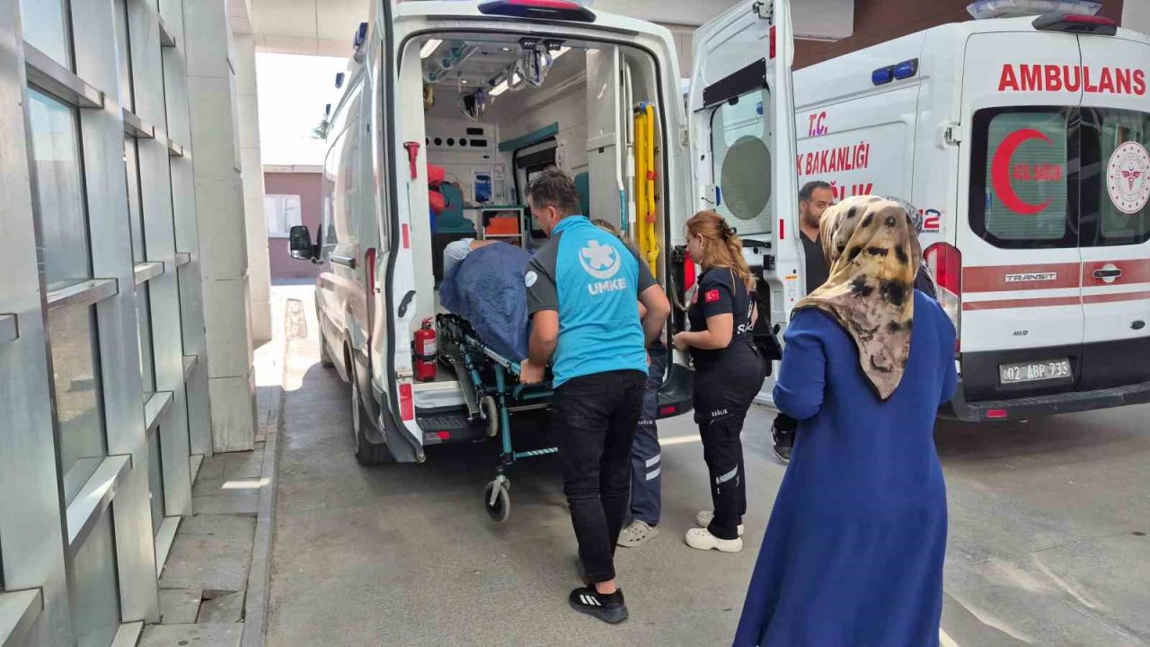 İncir toplarken ağaçtan düşen kişi yaralandı