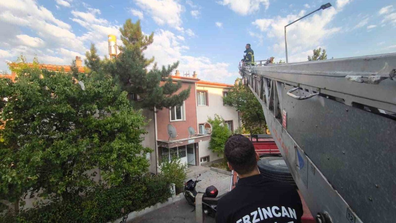 Erzincan’da çatıdaki kedi itfaiye ekiplerince kurtarıldı