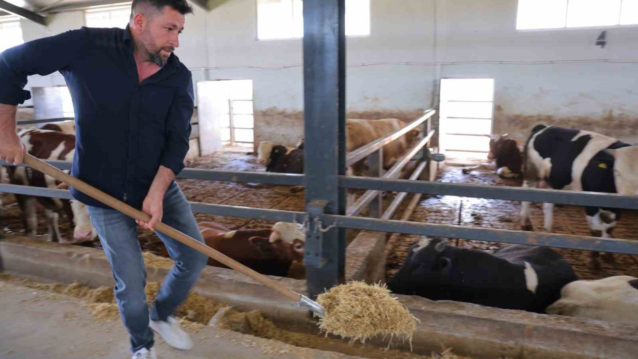 Ahırların elektrik işini yaparken, devlet desteğiyle besi çiftliği kurdu