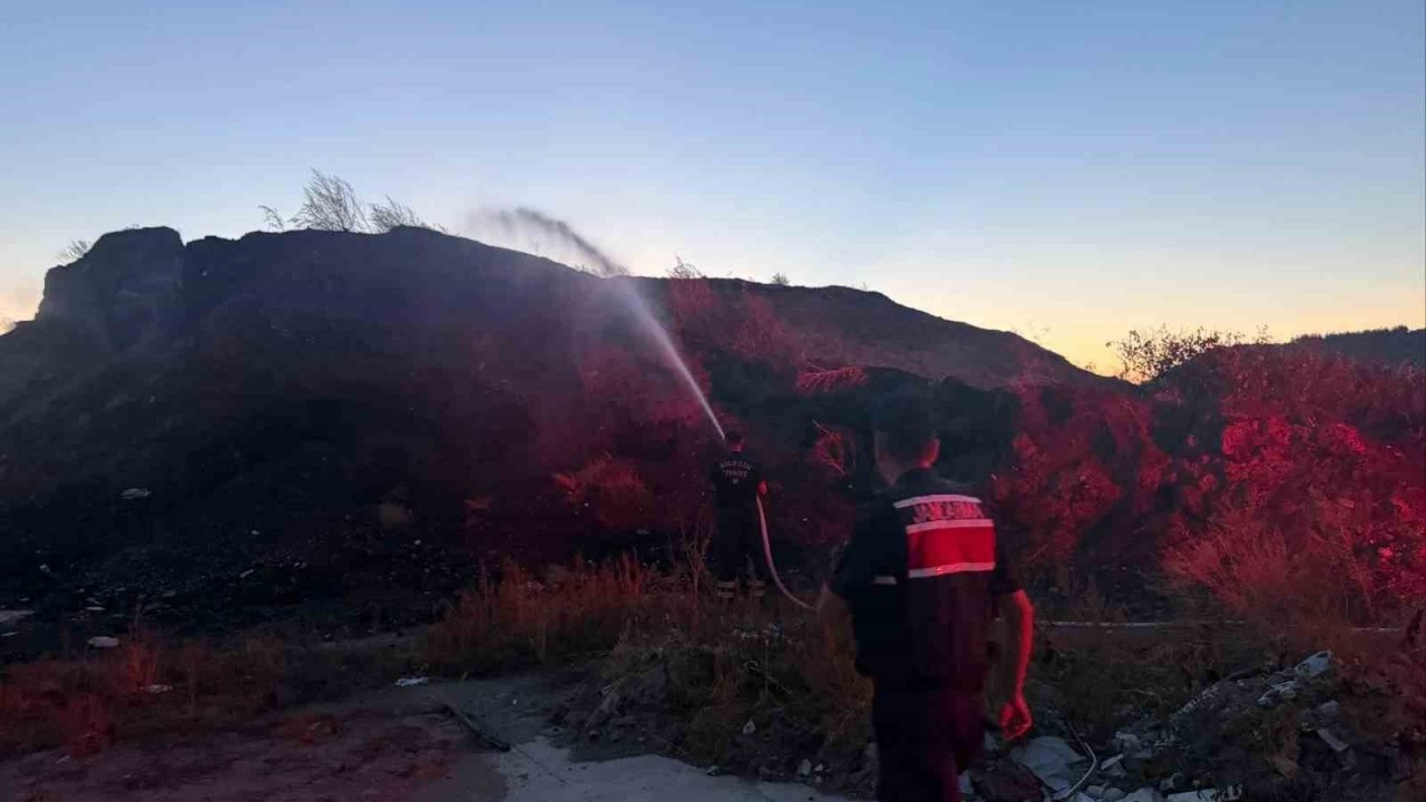 Bilecik’te ot ve çalılık yangını