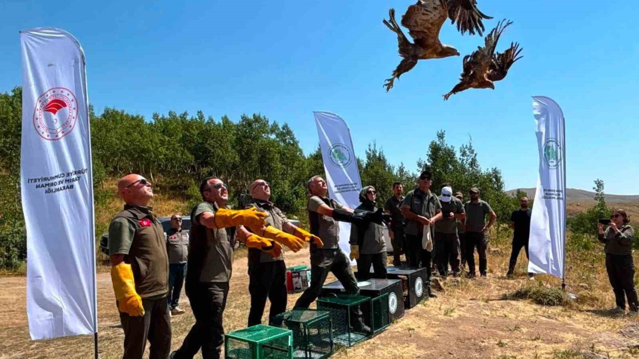 Nemrut Kalderası Milli Parkı’nda 5 yaban hayvanı doğaya salındı