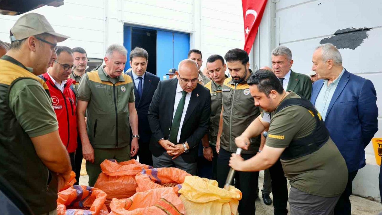 TMO, Giresun’da fındık alımına başladı