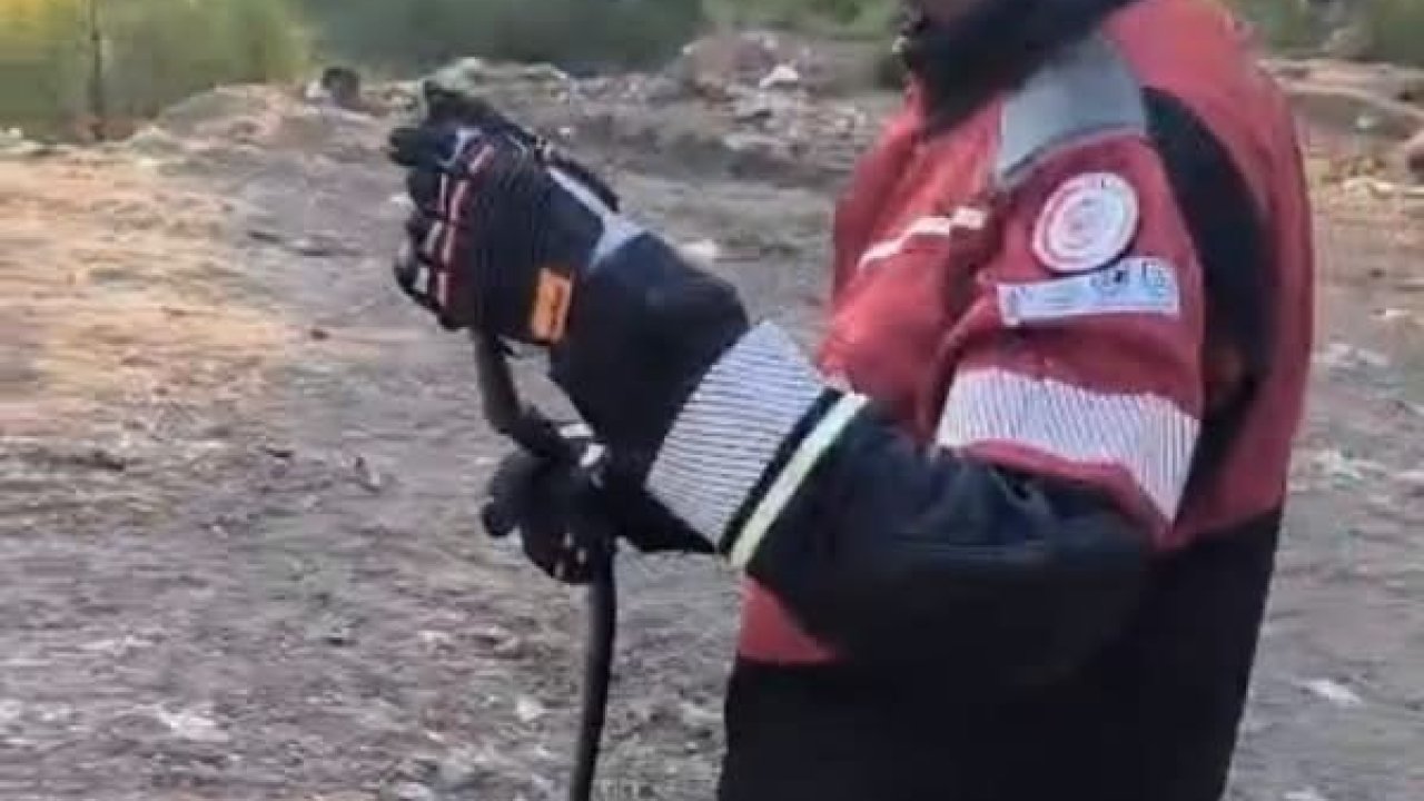 Hatay’da  yerleşim yerlerinde görülen yılanlar doğal yaşam alanına bırakıldı