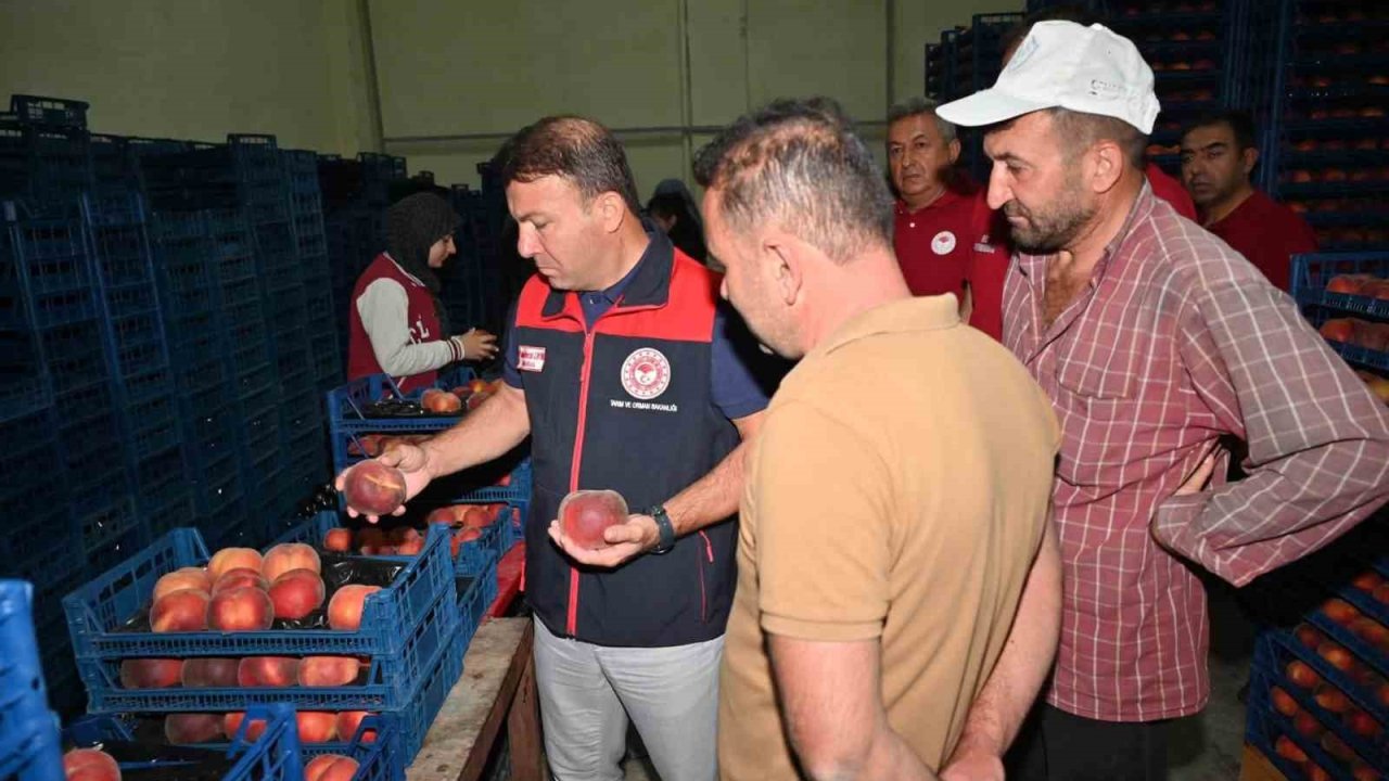 Çivril’de şeftalinin üretimden pazarlamaya yolculuğu incelendi