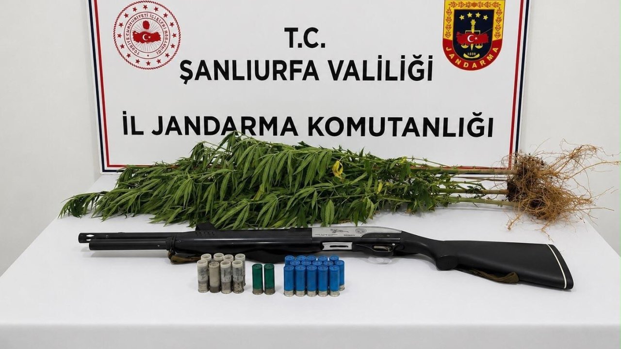 Şanlıurfa’da uyuşturucu madde ele geçirildi: 1 gözaltı