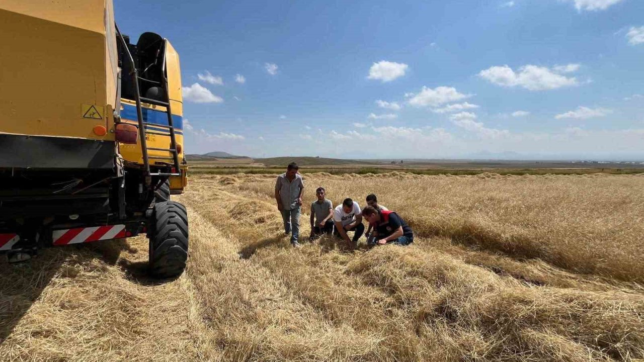 Kars’ta biçerdöver hasadı kontrolleri sıklaştırıldı