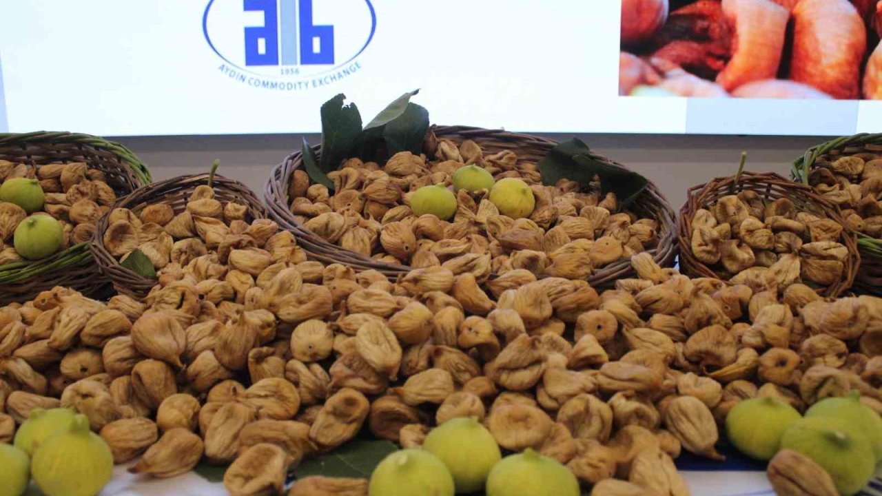 Aydın’da sezonun ilk kuru inciri 850 liradan satıldı