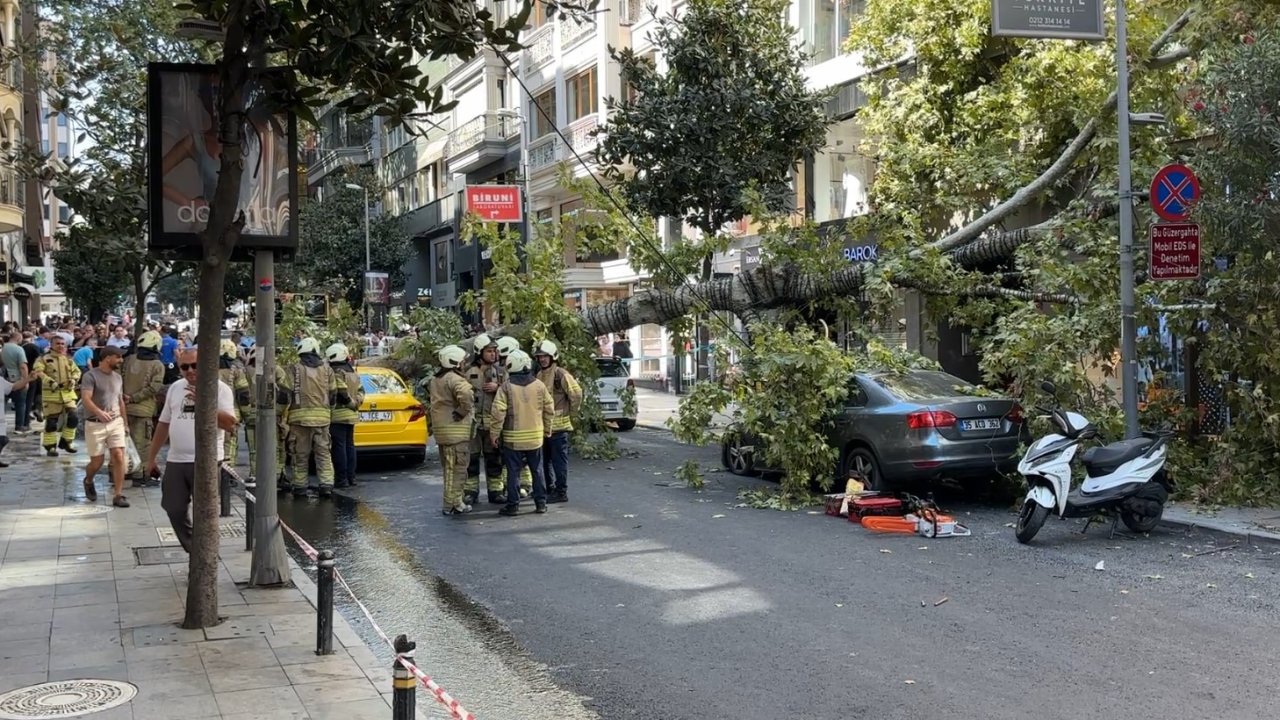 Nişantaşı’nda çınar ağacı iki aracın üzerine devrildi