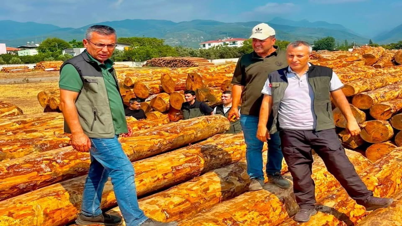 Dörtyol’da orman işletmesinin çalışmaları değerlendirildi