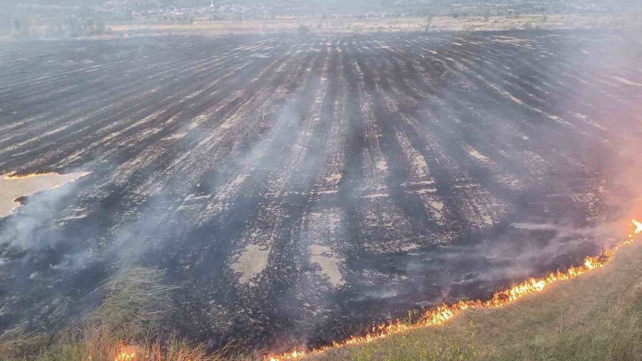 Kastamonu’da çıkan örtü yangınında 400 dönüm alan zarar gördü