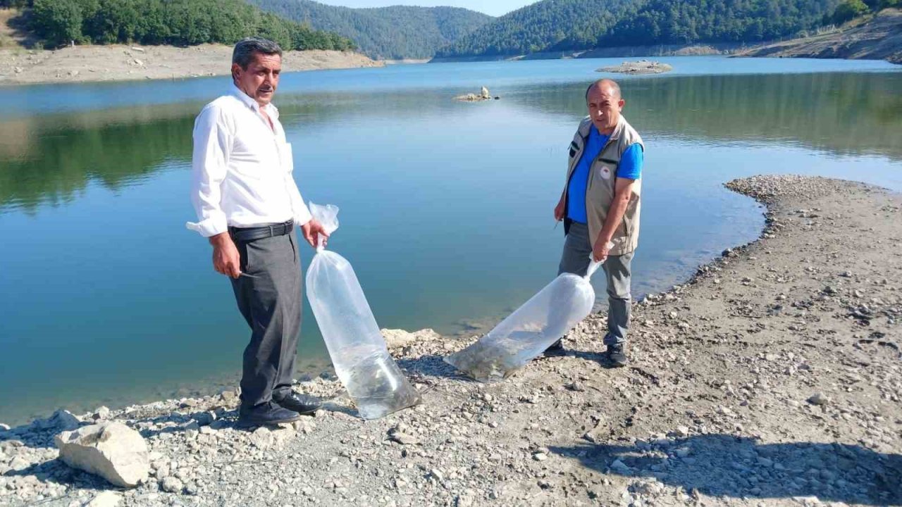 Orhaneli’de göletler sazan yavrularıyla buluştu