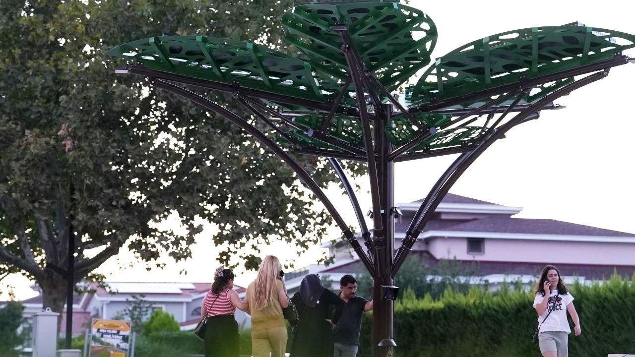 Denizli’de ’Solar Ağaç’ kent yaşamıyla buluştu