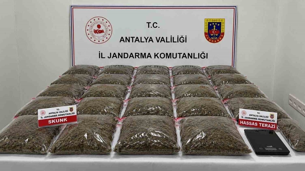 Uyuşturucu operasyonunda 13 şüpheli yakalandı