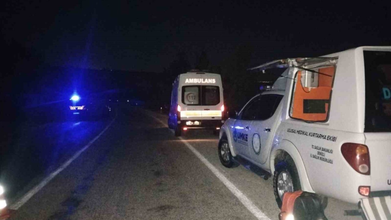 Yabani hayvana çarpan hafif ticari araç şarampole uçtu