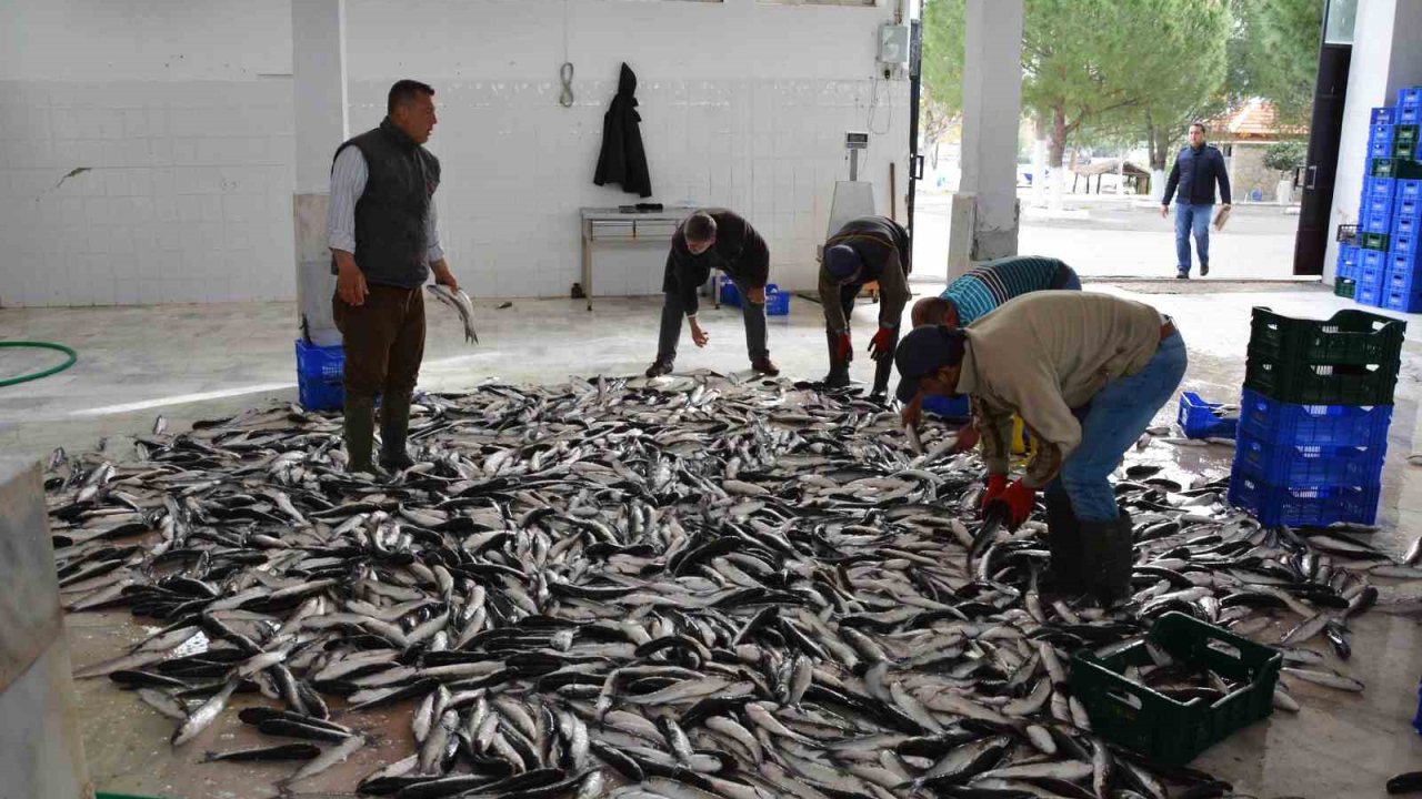 Muğla’nın Temmuz ayı ihracatı 142 milyon dolara ulaştı