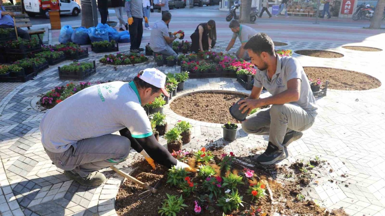 Nazilli Belediyesi kendi yetiştirdiği çiçeklerle Cumhuriyet Meydanı’nı süsledi
