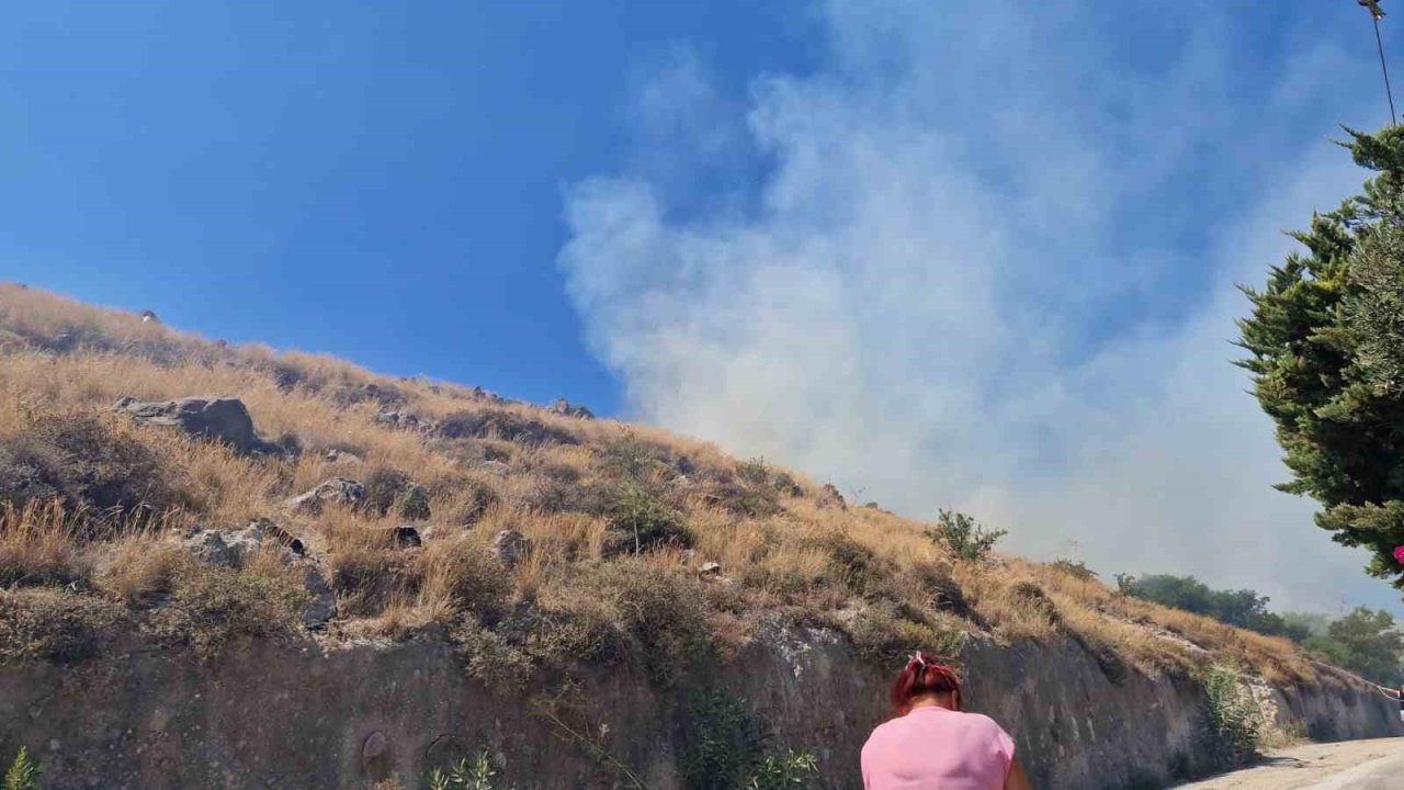 Bodrum’da makilik yangını