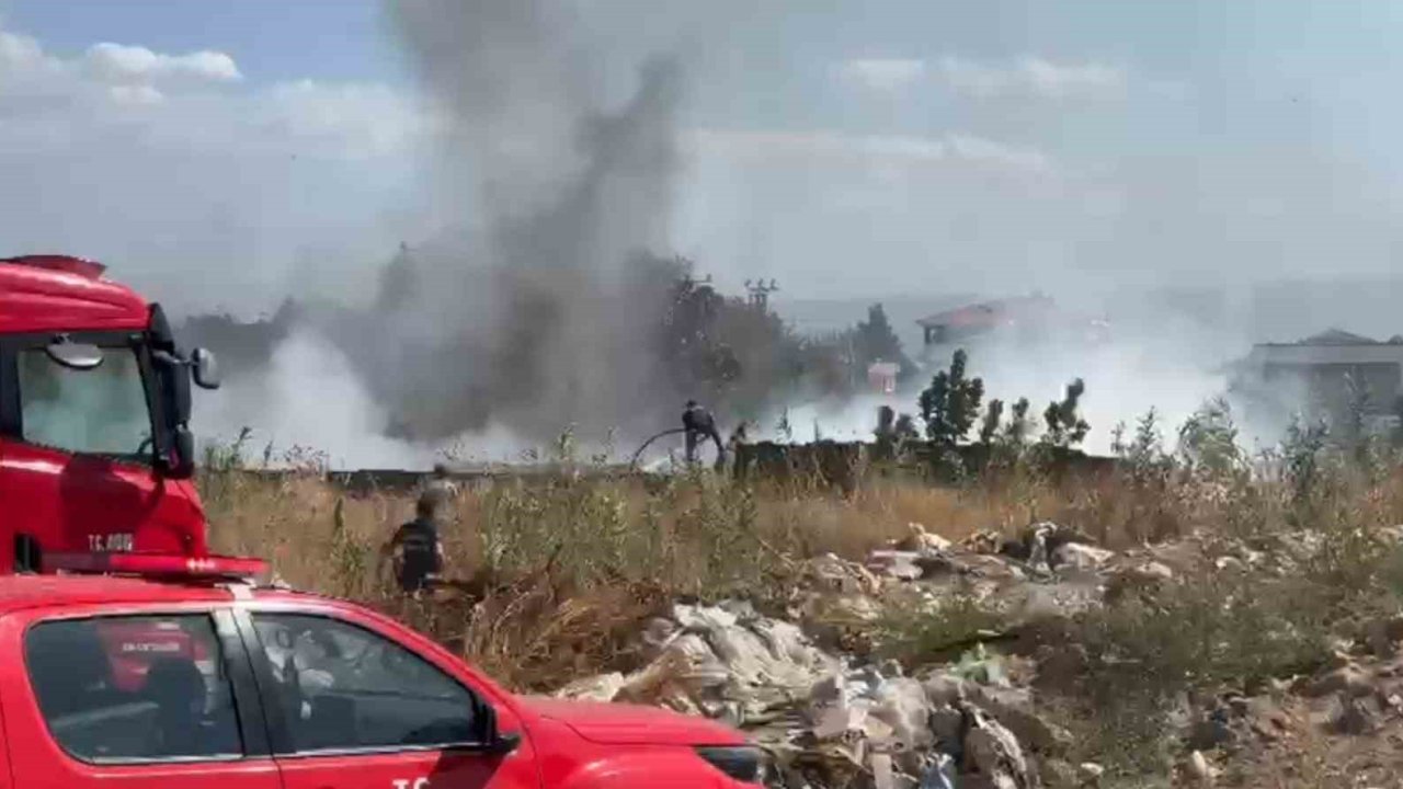 Zeytinlik alanda çıkan yangın korkuttu