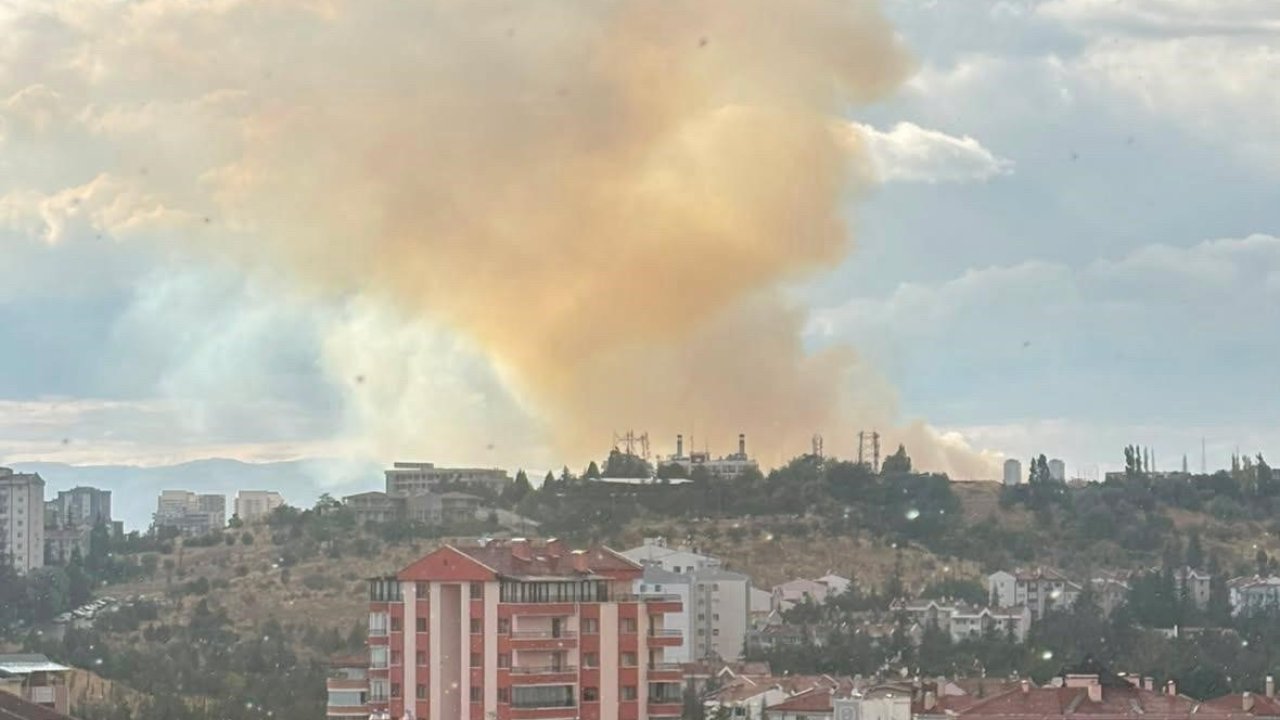 Ankara’da otluk alanda yangın çıktı