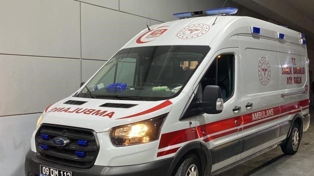 Tesadüfen bahçeye çıkan baba, oğlunu asılı halde buldu