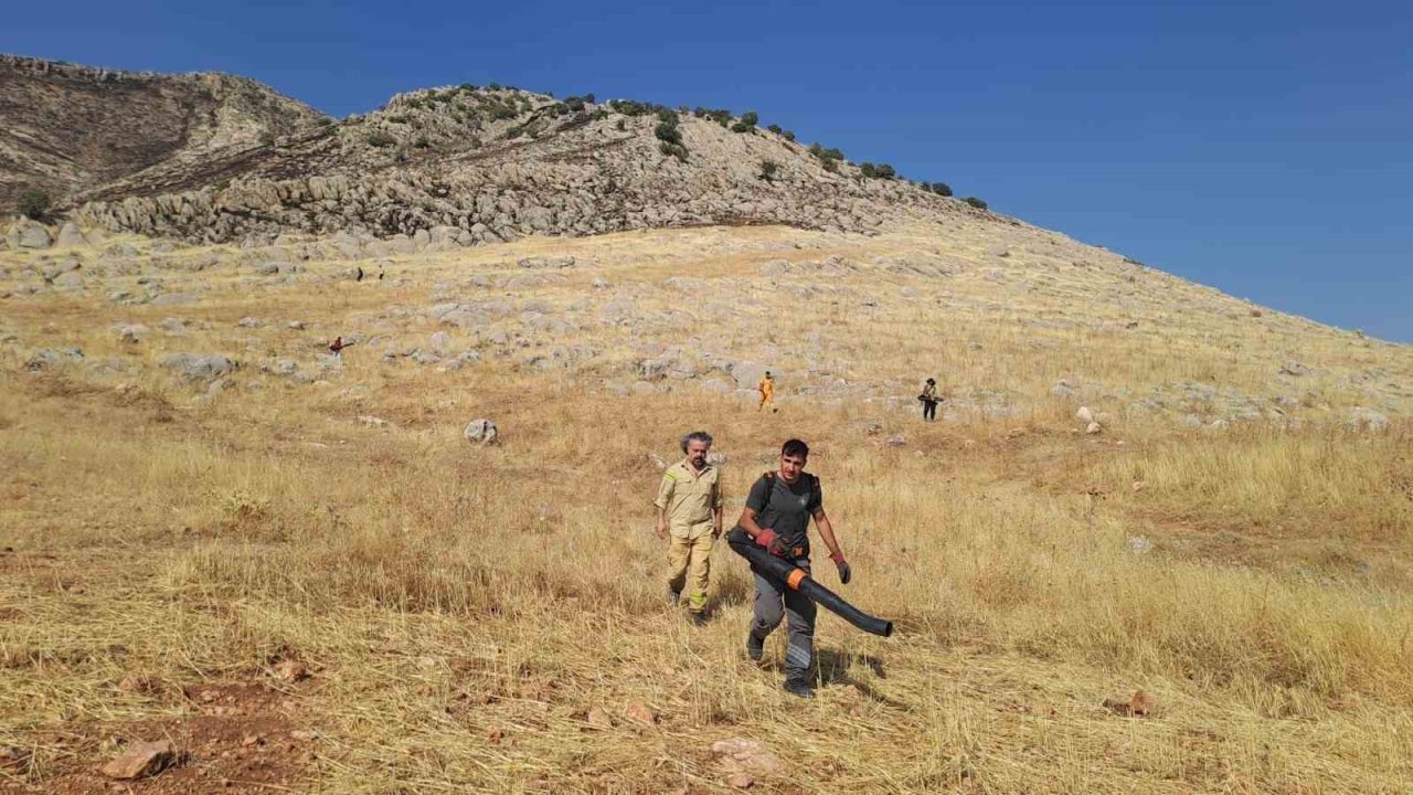Diyarbakır’da yaklaşık 400 dönüm alanı küle çeviren yangın kontrol altına alındı