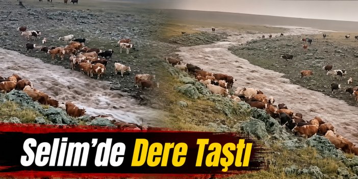 Selim Koyunyurdu Köyünde Dere Taştı