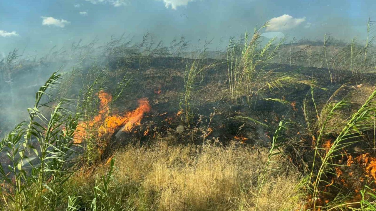 Şırnak’taki örtü ve orman yangını söndürüldü