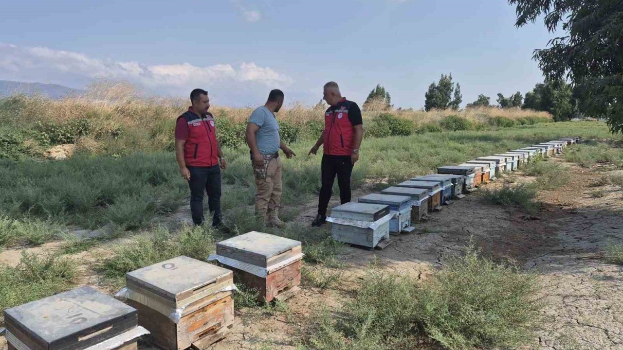 Antakya’da arıcılar bal sağımını sürdürüyor
