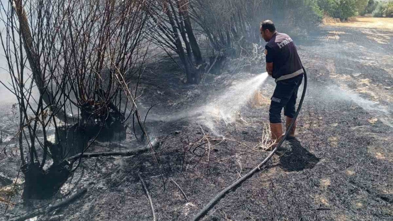 Ot yangını paniğe neden oldu