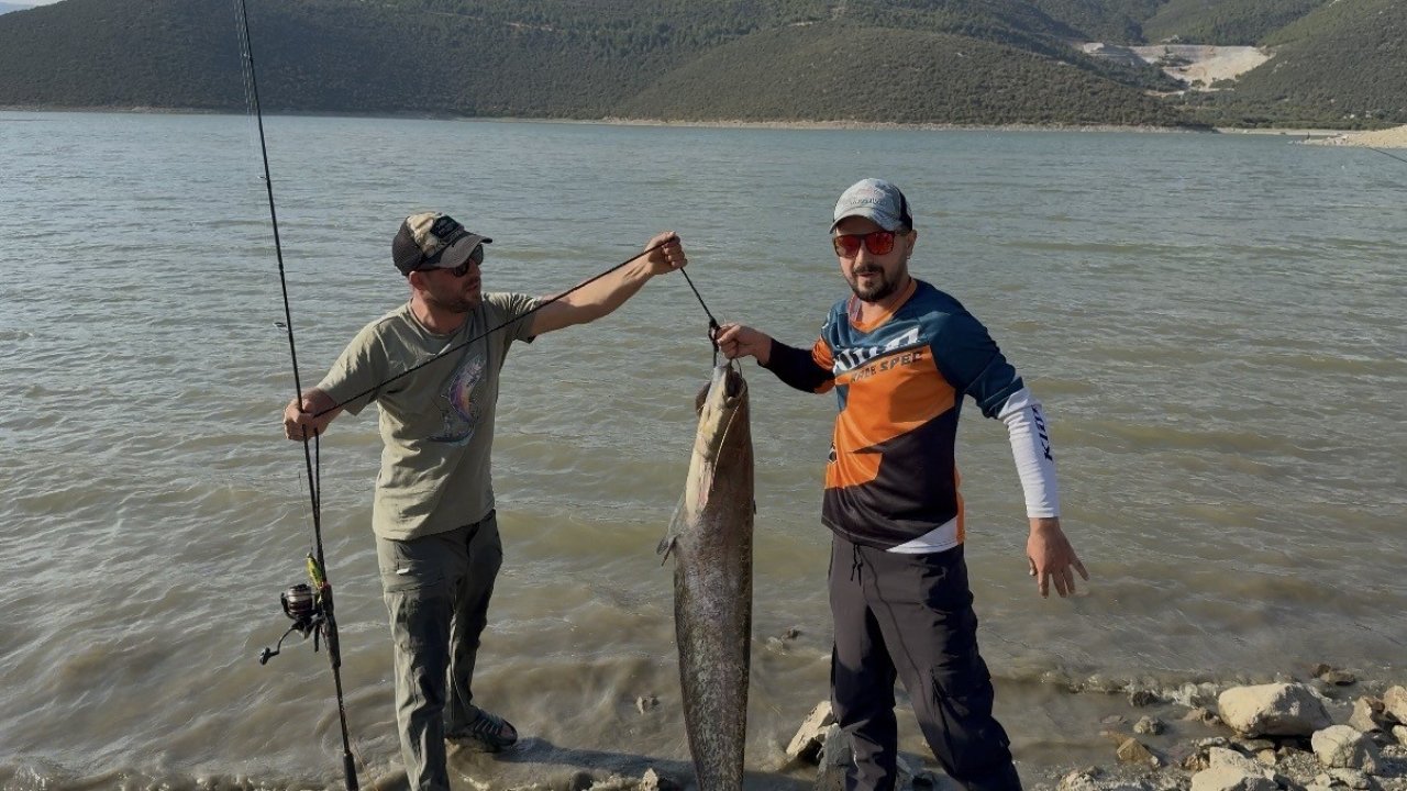 Turna avına çıkan balıkçıların oltasına 127 santimlik dev yayın takıldı